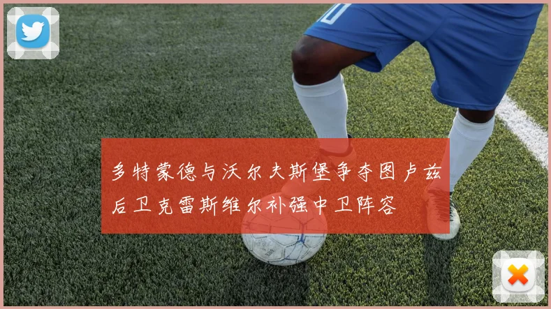 多特蒙德与沃尔夫斯堡争夺图卢兹后卫克雷斯维尔补强中卫阵容