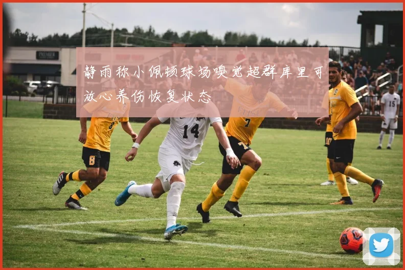 静雨称小佩顿球场嗅觉超群库里可放心养伤恢复状态